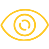 vision icon